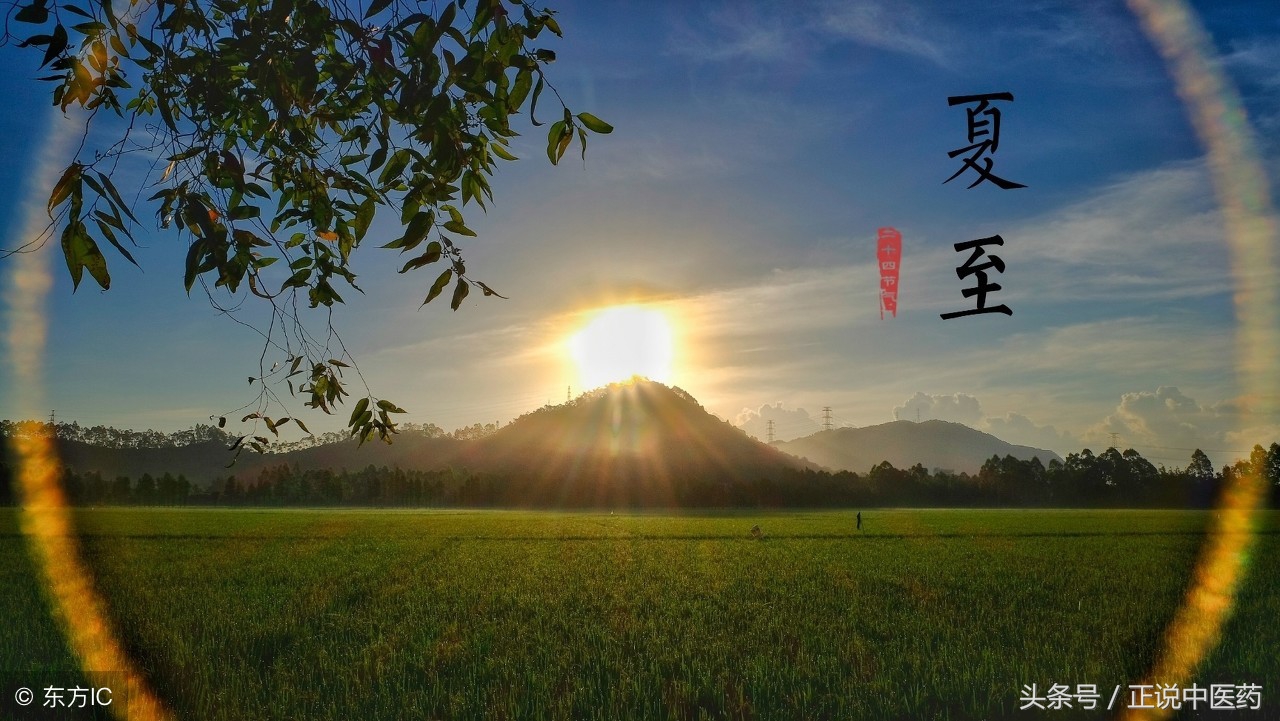 经典名方二至丸来历,中医分享黑发方剂二至丸