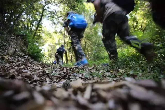 唐山青少年军事夏令营招生,唐山中小学生军事夏令营培训