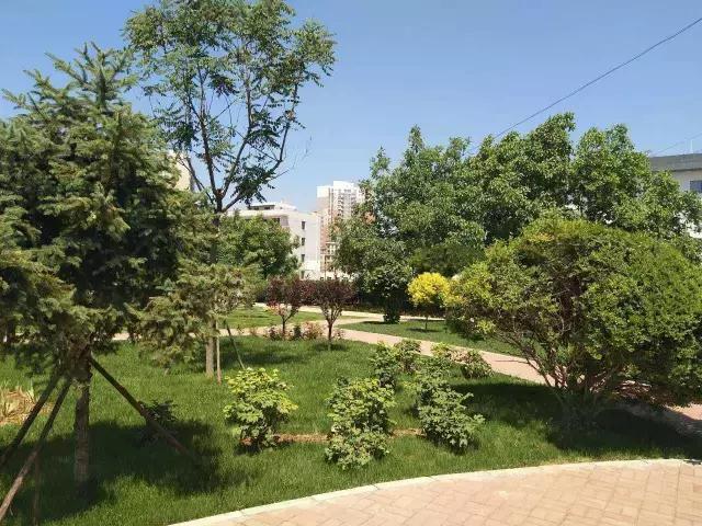 唐山青少年军事夏令营招生,唐山中小学生军事夏令营培训