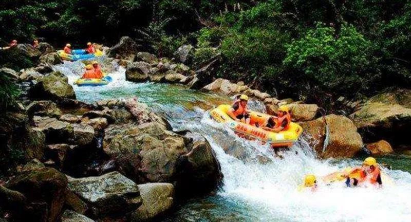 乐山市2019平均工资是多少,乐山市2023年平均工资是多少