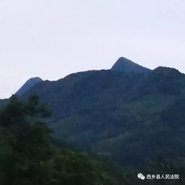 助力脱贫攻坚，鸳鸯池优质高山吊袋木耳等您品尝