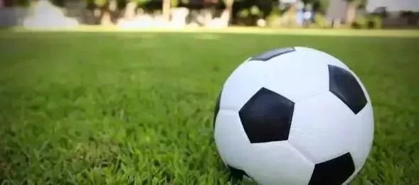 临沂市2024全国青少年校园足球,临沂市2023年全国青少年校园足球