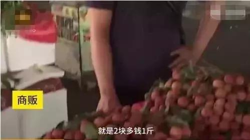 广西荔枝现在情况,广西荔枝最新情况