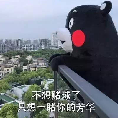 世界杯足球金句,世界杯土话对话