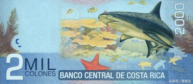 18年世界杯钞票,世界杯货币大全