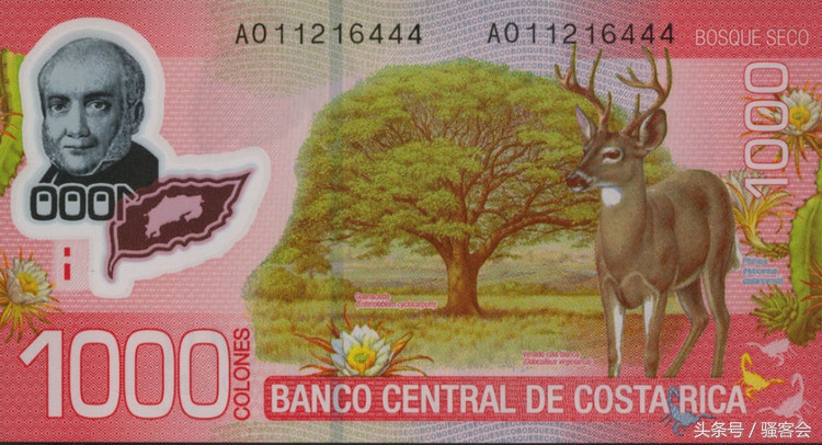 18年世界杯钞票,世界杯货币大全