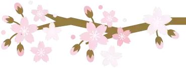 检察心语｜检察官爸爸和法官妈妈的爱情故事