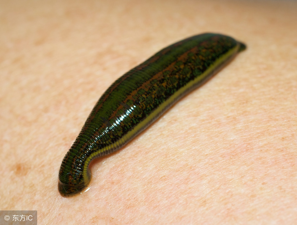 泳池危害,夏日游泳警惕3种泳池病