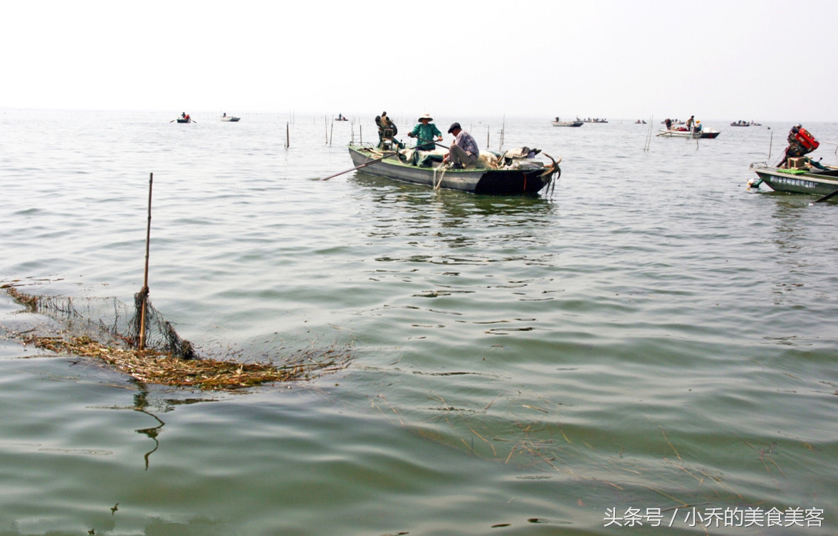 山东微山滑鱼丸怎么做的好吃,微山湖特色鱼丸汤