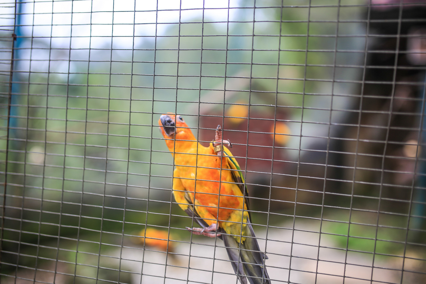 新加坡马来西亚亲子游攻略,马来西亚亲子游自由行旅游攻略