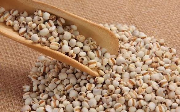 后天就入伏啦！不骗你！这周还有两场雨，江都暂不考虑出梅……