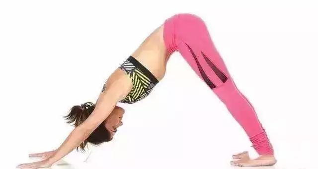 被101小姐姐的颜值折服，可看腿你就吃鲸了！