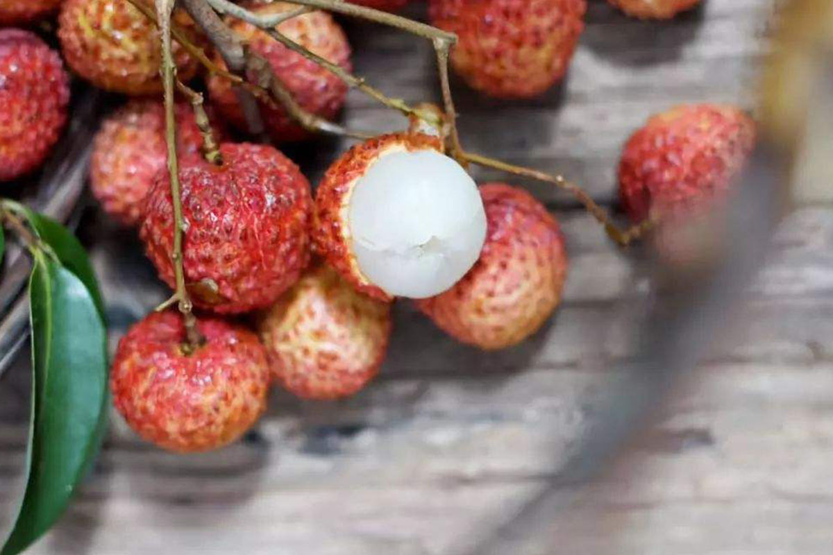 荔枝树被踩断,荔枝被踩坏