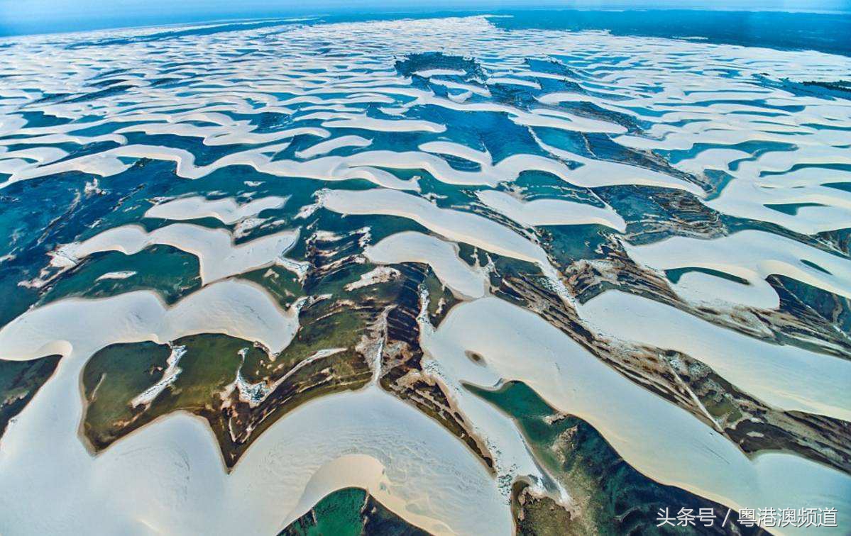 巴西最后一球,巴西最后一球进韩国
