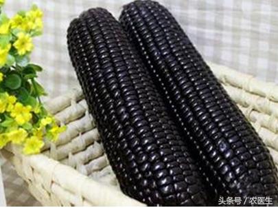 黑玉米是转基因的吗怎么煮,黑玉米是转基因食品吗