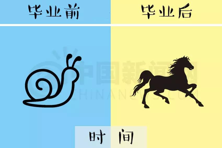 盘点那些毕业前后的极大反差,看看你毕业前后的差距有多大