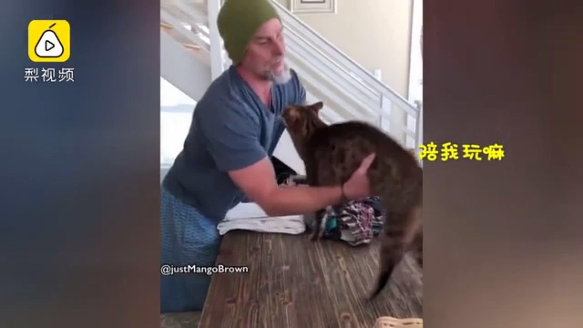 那些为了博眼球而自毁前途的网红,博人眼球的网红