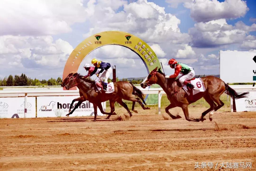 内蒙古伊泰大漠马业在哪里,内蒙古伊泰大漠马业