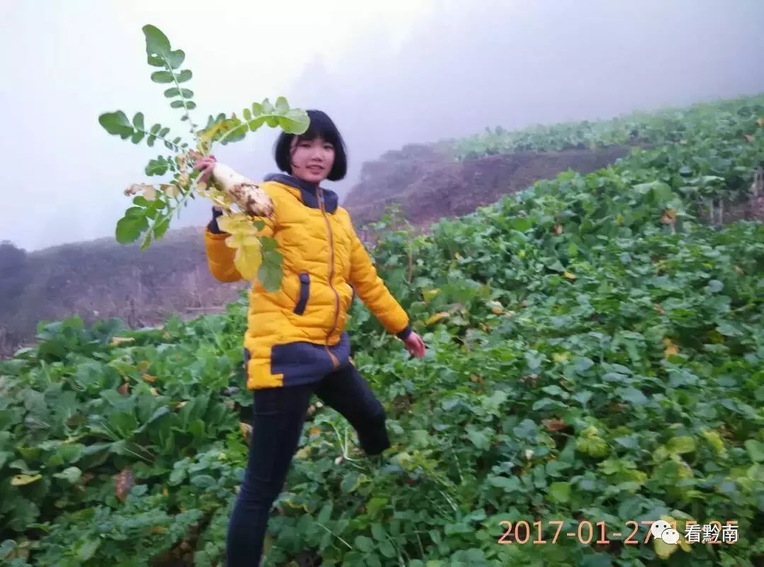 黔南州都匀一中高考成绩单,黔南都匀一中