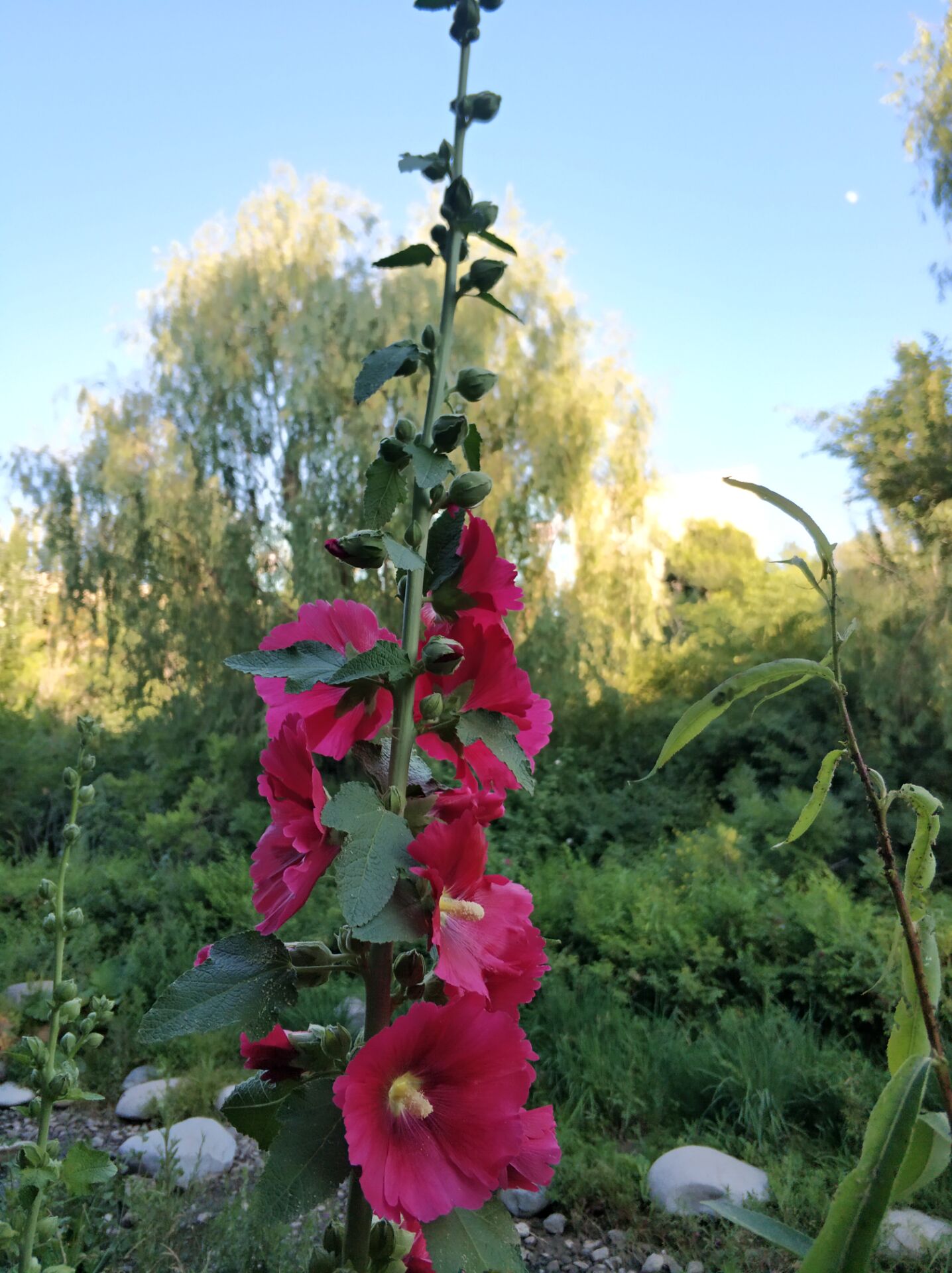 乌鲁木齐南湖公园夜景,乌鲁木齐南湖广场美景图片