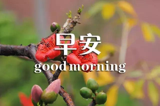 问候早安正能量的优美句子,真诚的友谊早安问候最新