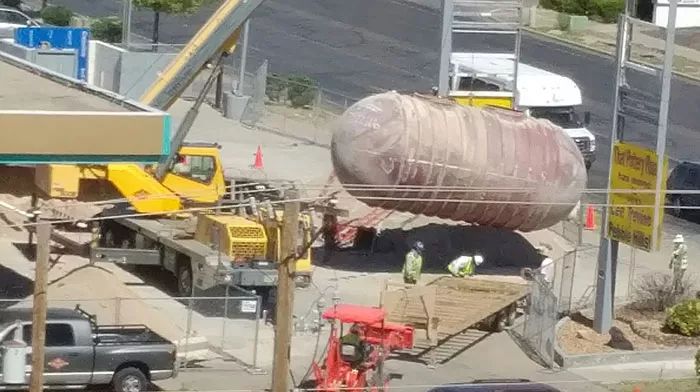 28张活久见的罕见照片,活久见100张图片