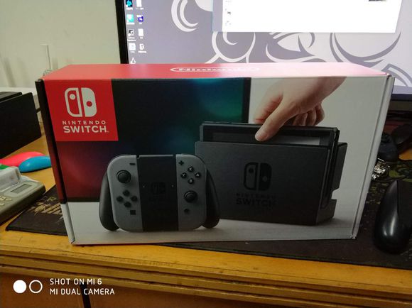 ns有什么必买的配件,新手小白入ns该怎么玩