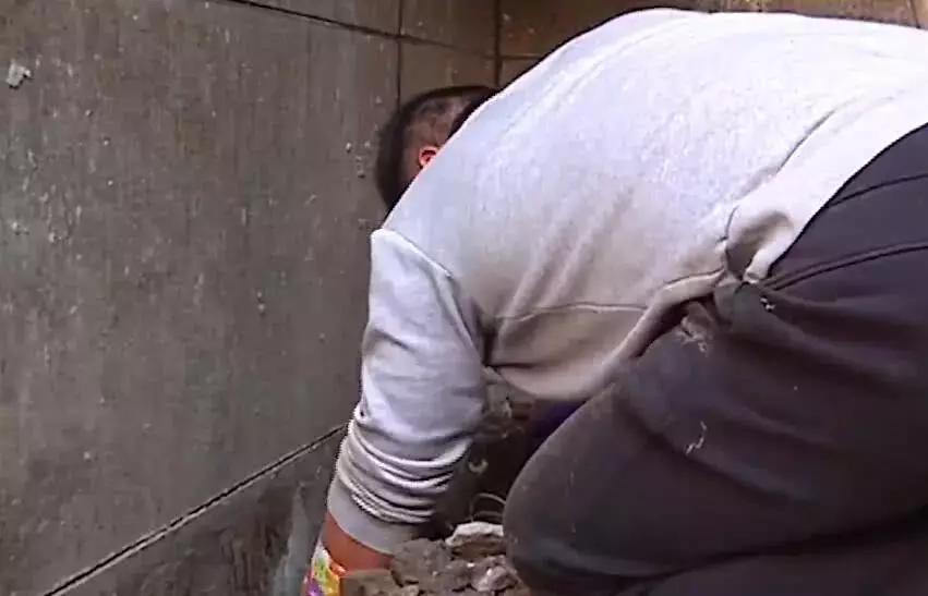 母狗将幼崽藏在下水管里,母狗总是把狗仔藏起来