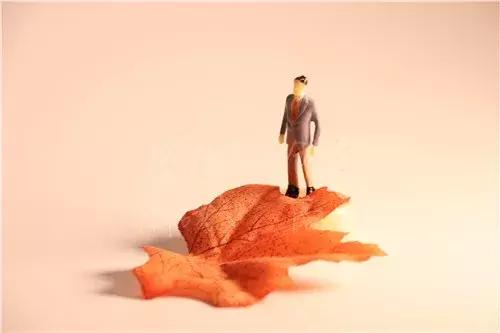 阿里高管辞职也要干的生意,从阿里离职进入拼多多的高管