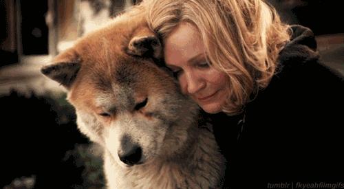 那些催人泪下的狗狗电影大盘点,介绍几个好看的关于狗狗的电影