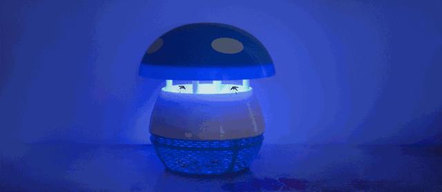 蚊虫叮咬夏天怎么消灭,夏天被蚊虫叮咬时用什么迅速止痒