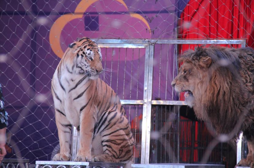 这个夏天只想“凉凉”！躲避炎热无需空调，快来曲江撒个欢儿~