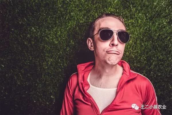 2022农民工回家创业有哪些项目,农民工回村创业投资30万