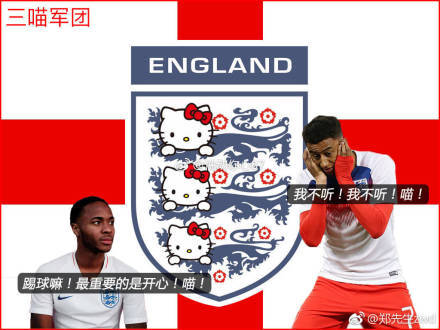 三狮军团让足球回家,三狮军团告别世界杯