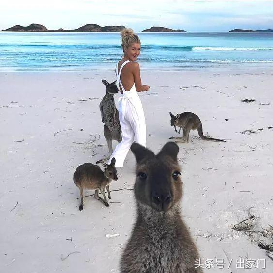 涓栫晫鏉ソ鐪嬪湪鍝効,涓栫晫鏉湡鐨勫ソ鐪嬩箞