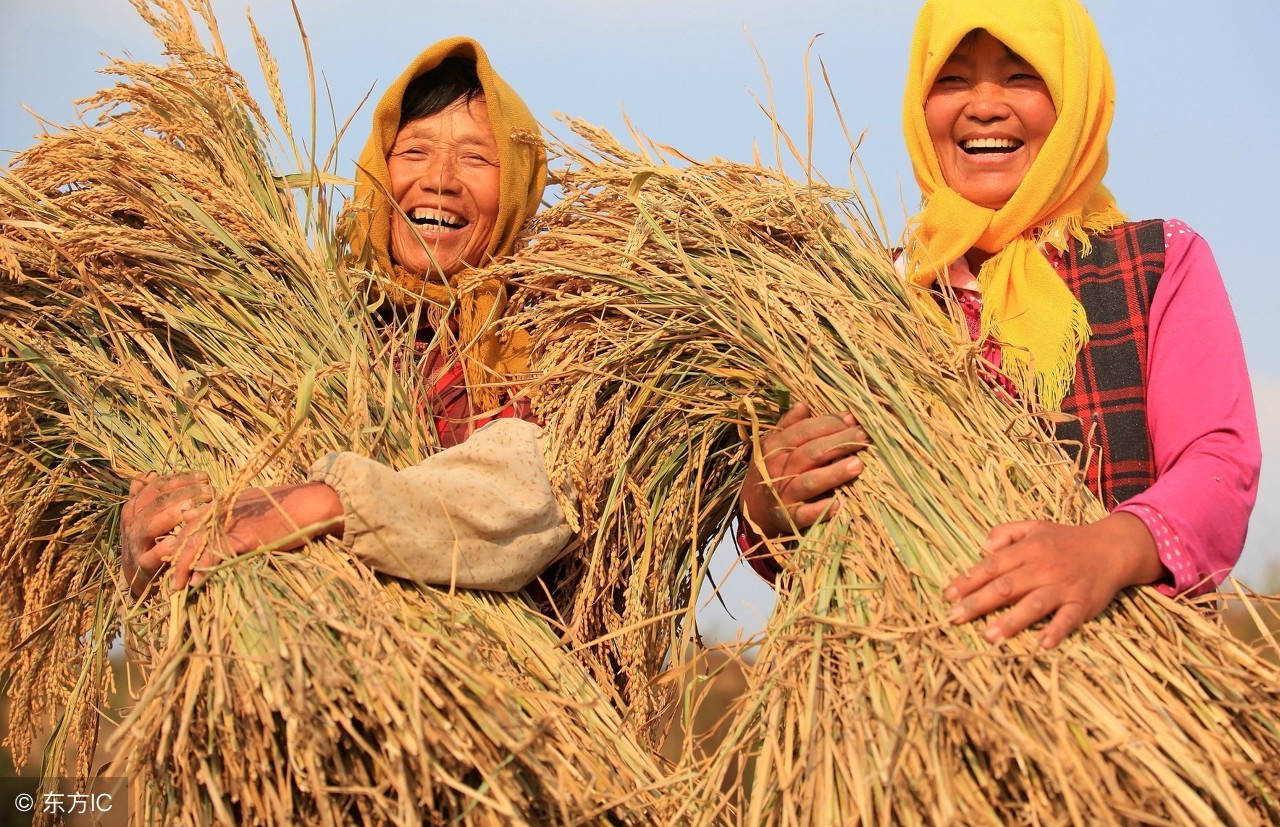 农村闲置土地种植什么赚钱,在农村种植或养殖什么比较赚钱