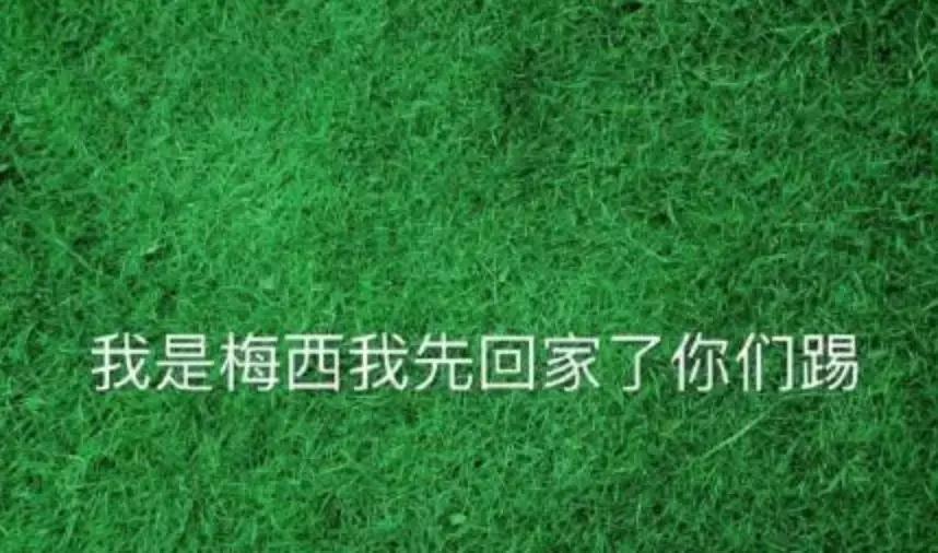 高晓松晓说阿根廷,高晓松冒死揭秘世界杯