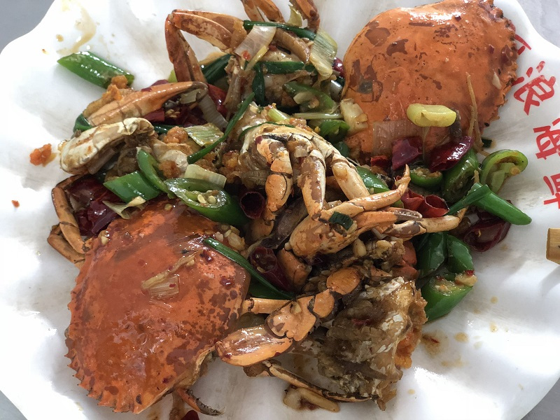 独自去海南旅游,优优去三亚旅行