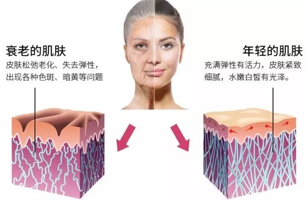 不用针提拉紧致皮肤的机器,冻龄防早衰精华乳