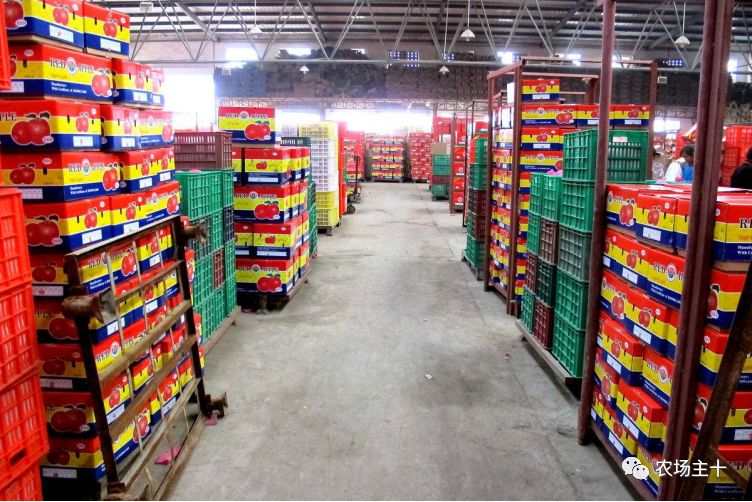 农村建冷库国家补贴政策,想在农村建个冷库需要什么手续