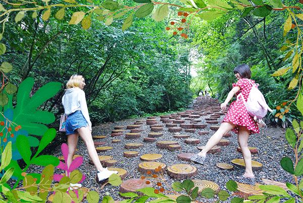 前方高能！疯狂动物城有猛兽出没，请保管好自己的小心脏！