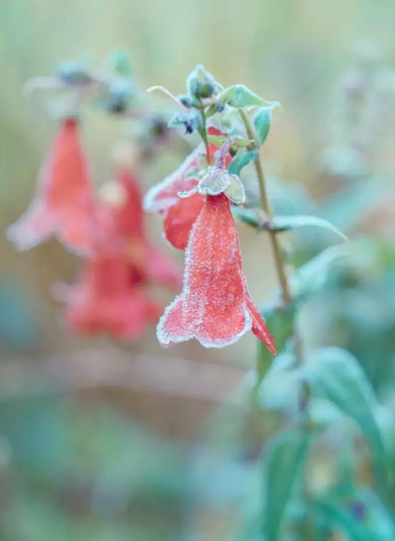 做个花心的女人视频,做个花心的女人歌曲
