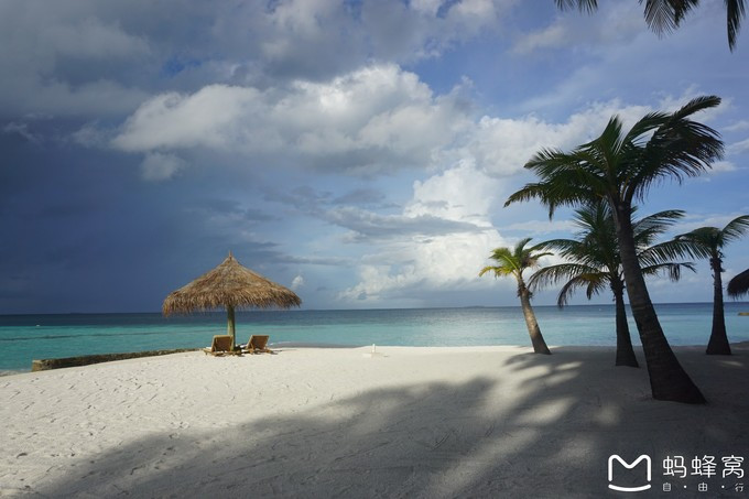 马尔代夫蝴蝶岛,马尔代夫港丽岛属于几星岛