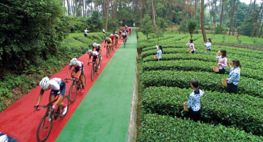 一辆自行车骑行世界,一辆自行车旅行