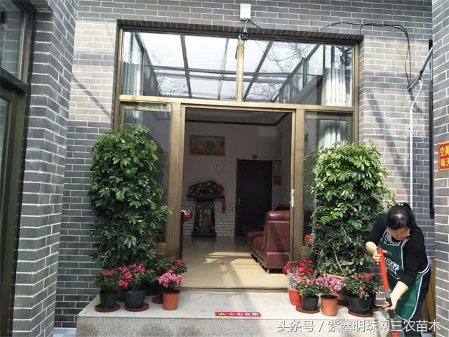 梨木台古树农家院,蓟县梨木台兴业缘农家院