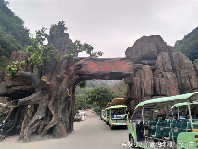 梨木台古树农家院,蓟县梨木台兴业缘农家院