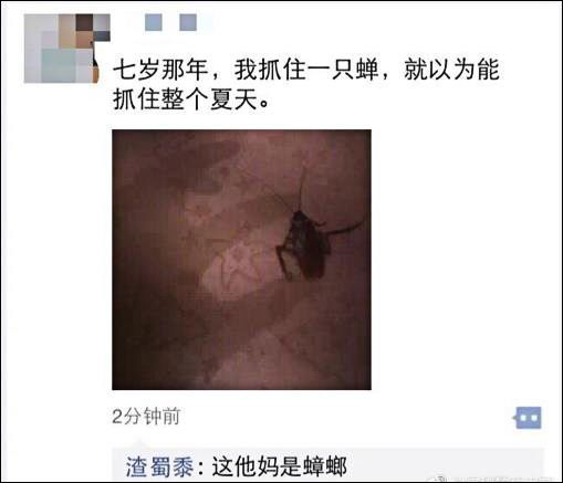 朋友圈就是快乐的源泉,朋友圈总有段子手