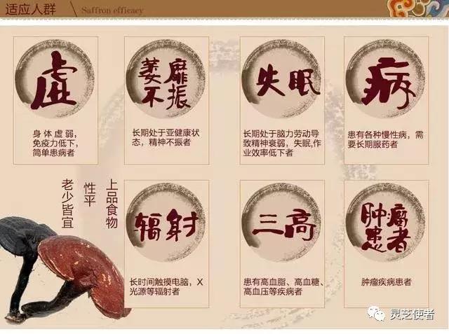 灵芝分散片一般吃多久才见效,灵芝吃多久对肝才有效