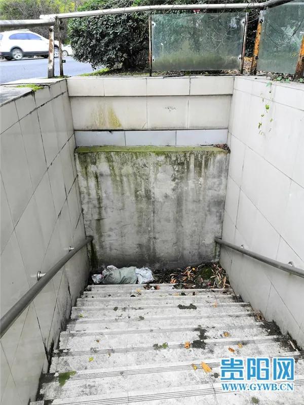 “沉睡”多年的新添立交地下通道终于有望开通！预计11月初改造完毕|网络问政追踪