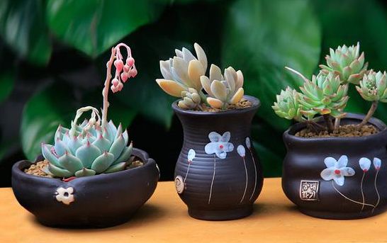 鍐呮睙澶у崈鏁呴噷涓囧悕鍎跨缁樼敾姣旇禌,鍙屽煄灏戝効缁樼敾澶ц禌